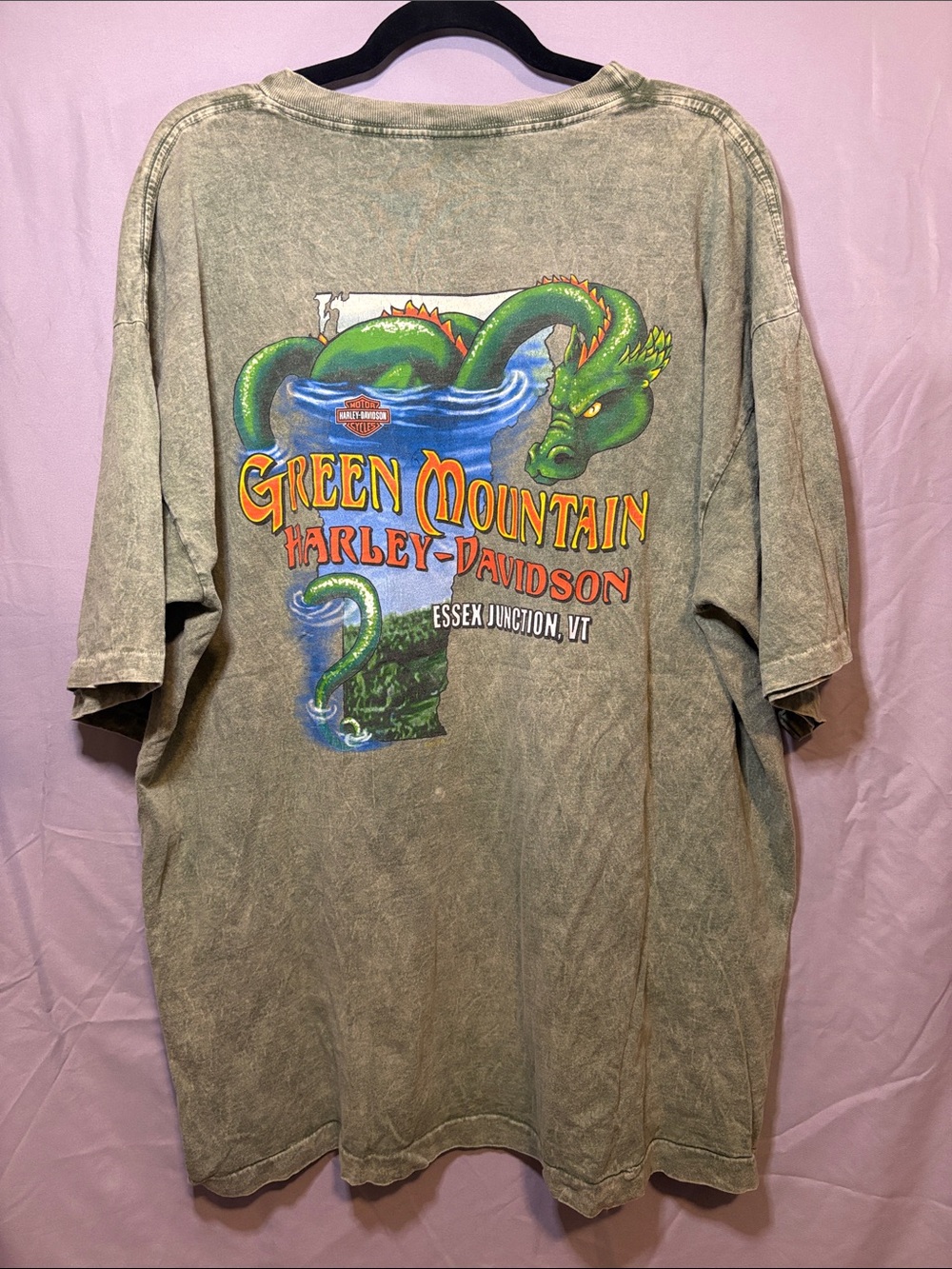 Harley-Davidson Green Mountain Vermont Dragon Graphic Tee in green mineral wash - Picture 1 of 3